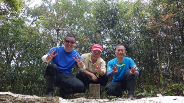 【新北/三峽】夢幻組合:組合山-雲森瀑布O型34579