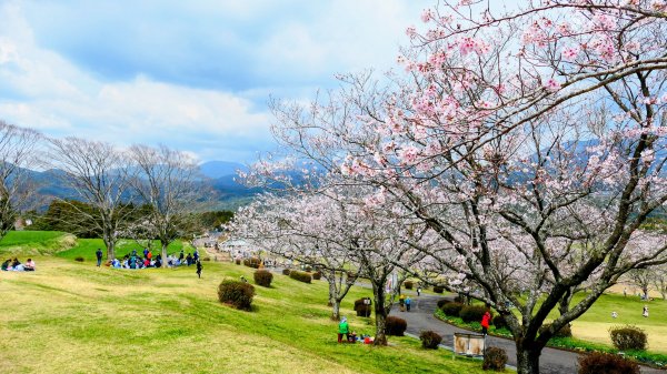 鹿兒島高千穗牧場3028174