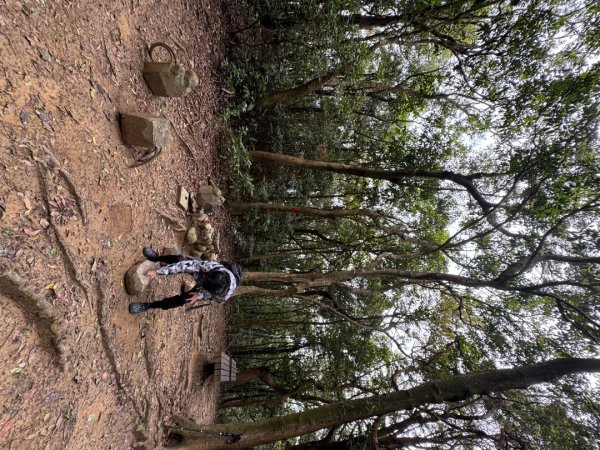 2025/04/13 小百岳第008「大崙頭山」2760256