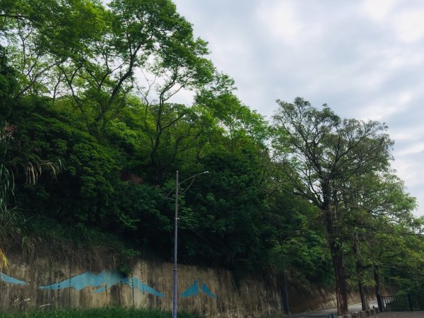 大坑6.7.10號565791