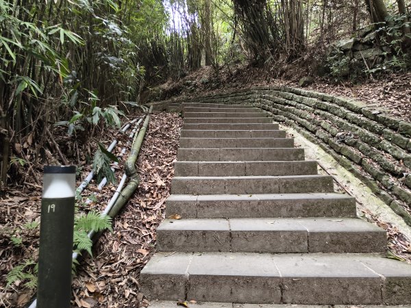 [百山百鳥尋旅-15/15] 2025_0929 硬漢嶺步道(觀音山)2900988