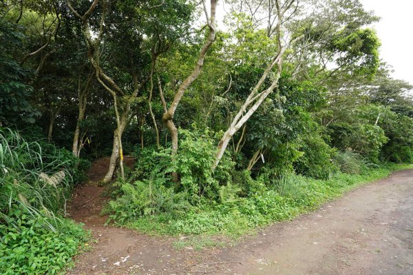 臺北 北投 嘎嘮別山、稻香山、貴子坑山2760543