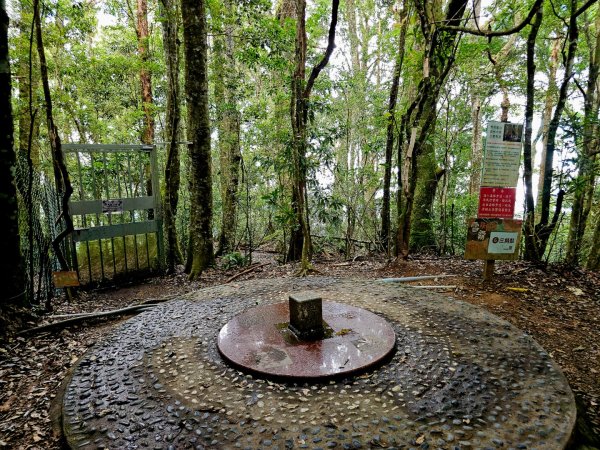 野馬瞰山步道-2025森遊竹縣皮皮獅探險隊2895240