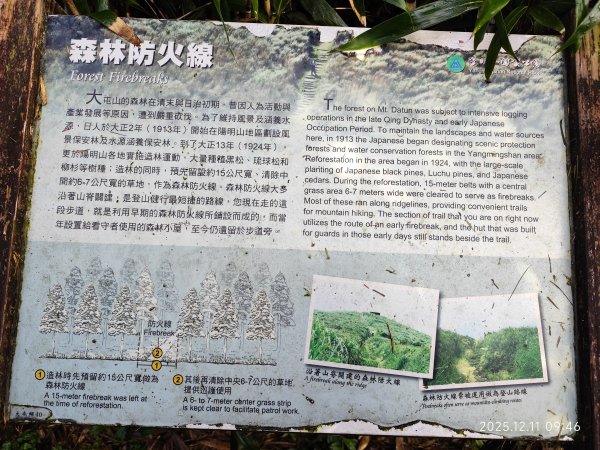【臺北大縱走 2】【第二回合全程完成證書】鞍部→大屯山步道→大屯山主峰→大屯坪步道→二子坪步道2960357