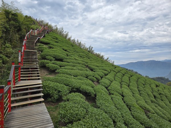 雲嘉大尖山2871286