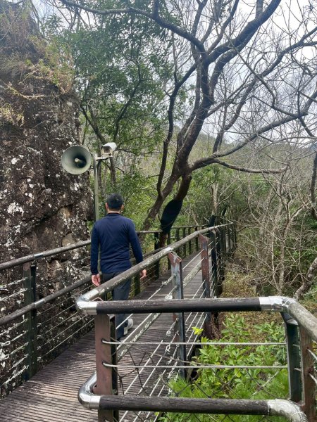 桃園 復興 巴陵古道3011848