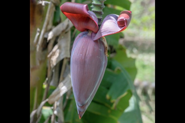 九寮溪步道與梅花湖2927085