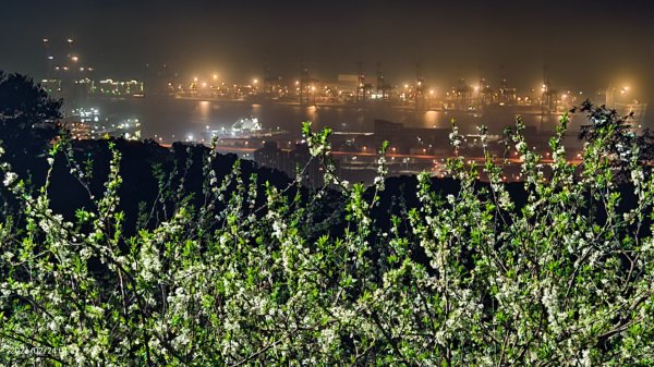 #觀音山 差強人意 #琉璃光 #雲海 #日出 #斜射光 2/243005406