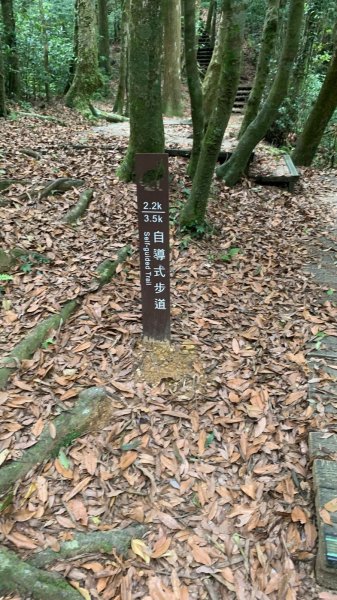 桃園東眼山2803722