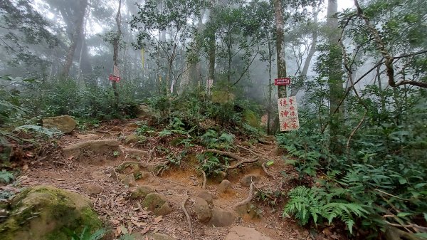 內鳥嘴山 北得拉曼步道 1159414