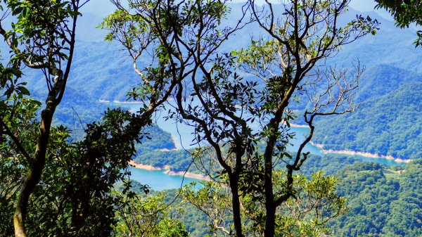 黃櫸皮寮山2898302