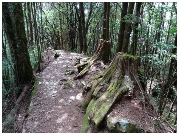 鞍馬山、鞍馬山東北峰(台中/和平)1653608