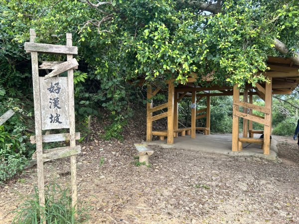 北柴山登山步道2909286