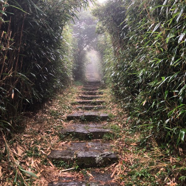 大屯山主峰步道鞍部登山口至主峰715811