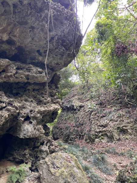 柴山，一年四季3085737