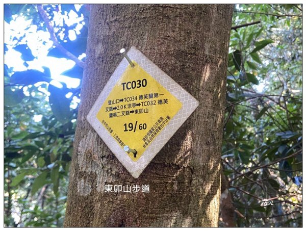 東卯山、東卯山西峰、東卯山西南峰 連走2932797