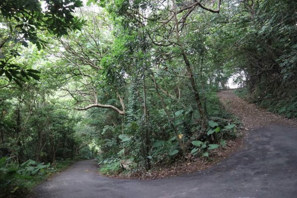 〔北投〕半嶺吊橋 半嶺水圳古道 半嶺瀑布 松溪瀑布。剛完工不久，滿滿森林芬多精的半嶺水圳步道2221074