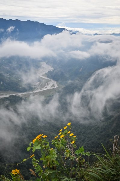 馬那邦山的雲海季2650888