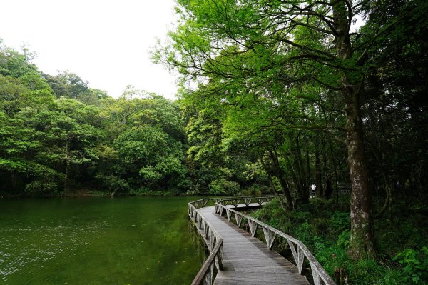 新北 烏來 志良久山3035175