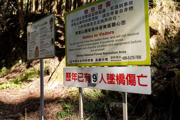 眠月線｜唯美森林鐵道3037109