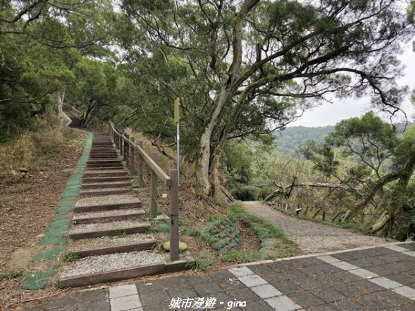 【台中龍井/大肚】竹坑南寮登山步道x瑞井登山步道O繞3031260