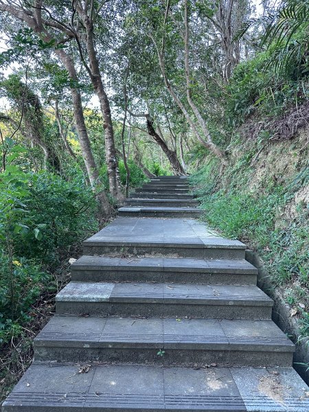 和美山螢火蟲段2873334