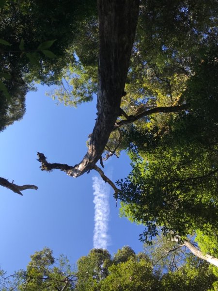 稍來南峰上稍來山遠看鳶嘴山714484