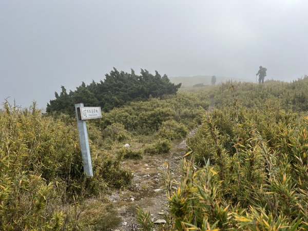 雪山西稜 2023_1106(D5C) 匹匹達山2342056