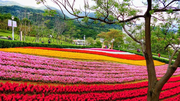 北投社三層崎3010996