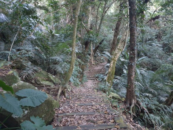 冬瓜山步道與洗水山1560931