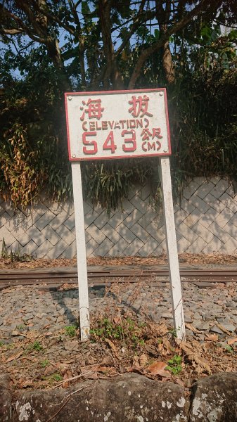 20210228獨立山大籠頂步道1618516