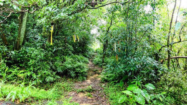 石笋古道,焿子寮古道,松子嶺古道2798318