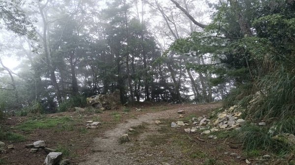 20251010 大雪山國家森林遊樂區 - 船型山林道 登 烏石坑山2911125