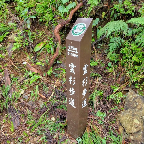 藤枝國家森林遊樂區（小百岳）2291825