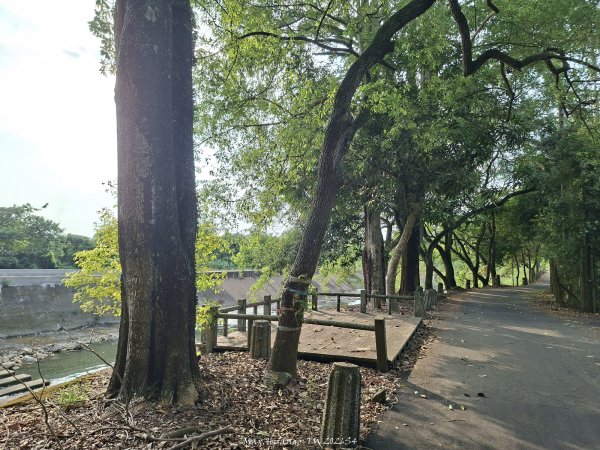 《南投》河岸賞鳥｜竹山下坪生態步道O繞202610173136784