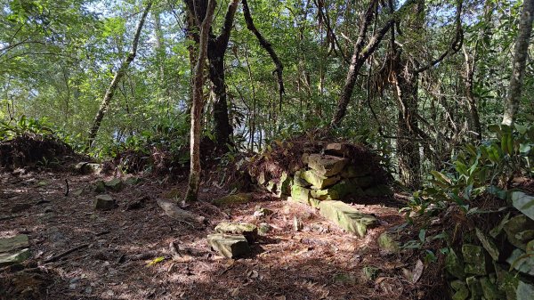 秀巒登虎禮山2582441