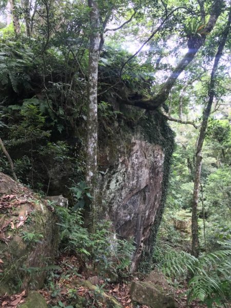 可看到小巧五指山的鵝公髻山 615635