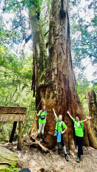🌈8/16（六）遠的要命的王國~鎮西堡B區神木巡禮✨FB：熊熊趴爬走🌈2861632