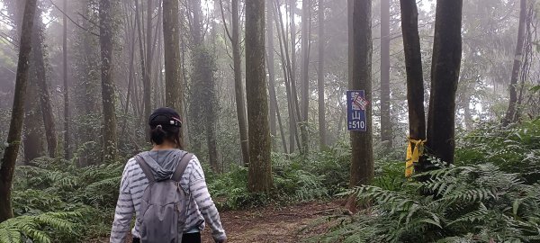 2023/10/29-騎龍山+騎龍下山2330601