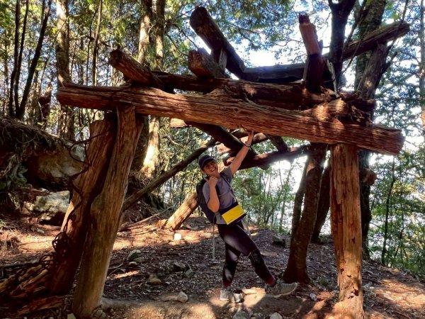 🌈11/15（六）松鶴上八仙山下森林遊樂區✨FB：熊熊趴爬走🌈2937661