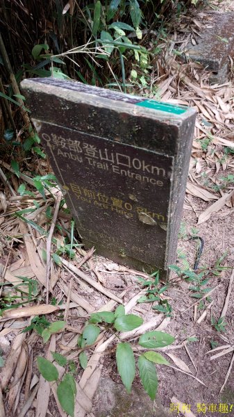 大屯山1827889