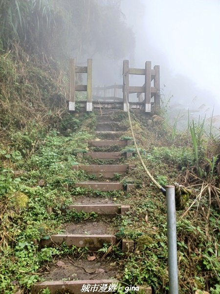 【台南。 楠西】滿滿的雲海太驚豔。 小百岳集起來。 編號67小百岳~竹子尖山步道1605923