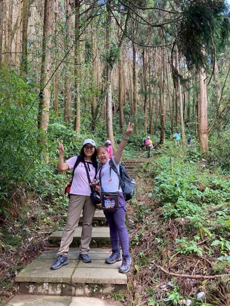 🌈17（日）雲嶺之丘+五元二角+木馬古道✨FB：熊熊趴爬走🌈2861690