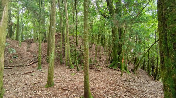 馬崙山之美1756022