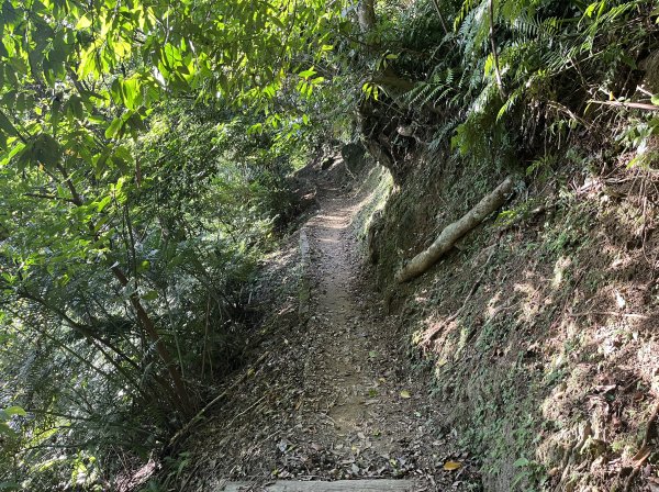 [山頂鳥40周年會員大縱走-08/15] 2024_0715 銀河洞越嶺登山步道2556760