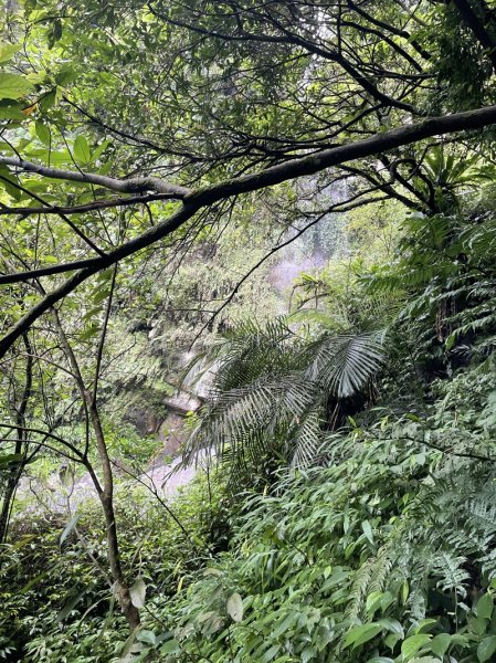 【二格山系】銀河洞越嶺2852571