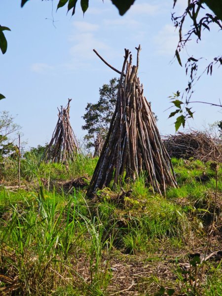 八里灣山-小百岳#91-花蓮縣豐濱鄉3019219