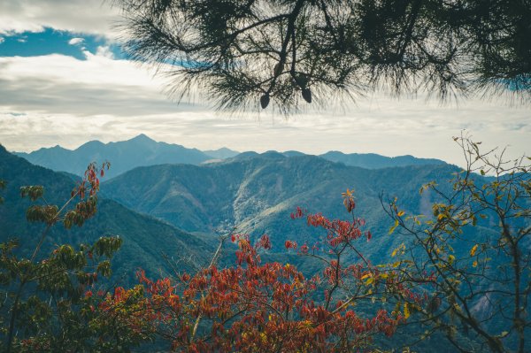 【百岳】2022.12秋色玉山前峰1974276