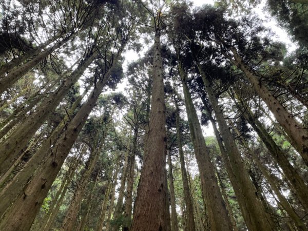 特富野古道2605811