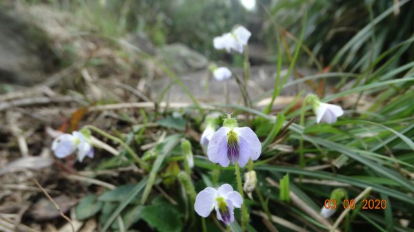 再度槓龜 !868783